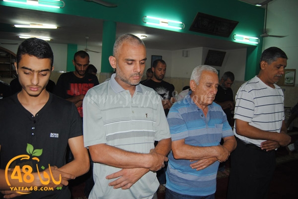 trawe7 zatona (9).JPG